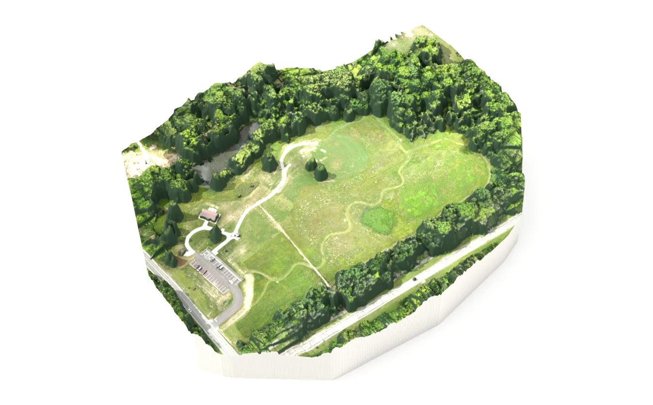 The Aukerman site as a solid block: the meadow and car park are flat, the trees stand up from the ground around them